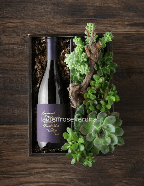 Cassetta wineplants