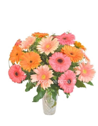 Bouquet di gerbere colori assortiti.